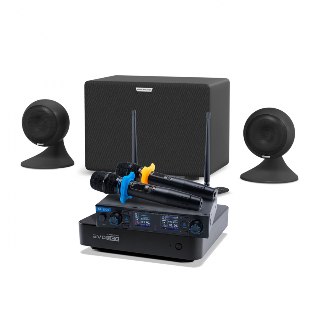 караоке-комплект EVOBOX + EvoSound Sphere 2.1 в Мегионе