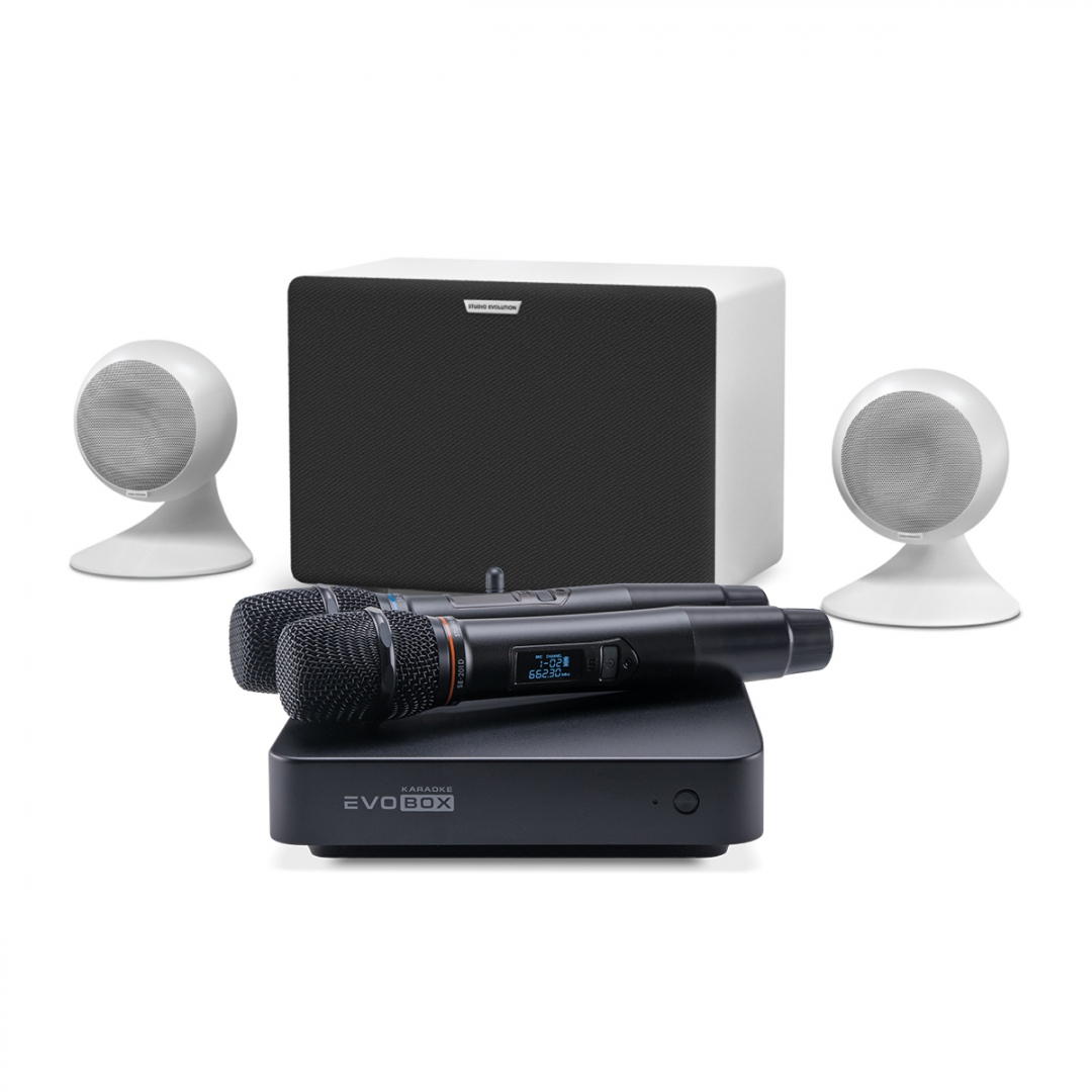 караоке-комплект EVOBOX Classic + EvoSound Sphere 2.1 в Мегионе