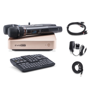 EVOBOX Classic караоке-система для дома в Мегионе
