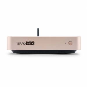 EVOBOX Plus караоке-система для дома в Мегионе