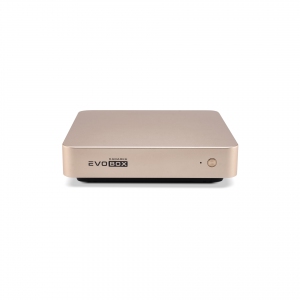EVOBOX с микрофонами в Мегионе